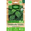 Vilmorin - Pacchetto di semi BIOLOGICO Westlandse Winter Kale (KALE) - Brassica oleracea var. sabellica