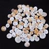 9 MM -15 MM Sacra Gomti Chakra Misura Anello Gemma Lotto Naturale Non Trattato