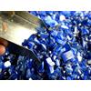 Tanzania 50 Ct Blu Tanzanite Pietra Preziosa Naturale Grezza Lotto