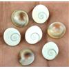 Naturale 52.60 KT Mix Cabochon Shiva Occhio Cover Gomti Chakra Lotto Certificato