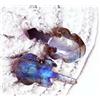 HARSHJ_0 Labradorite Naturale Multi Fire 9.05 & 9.20 Ct Gemma Sciolta Pendente