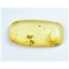 Gemsmyriad 100% Naturale Giallo Ambra 11.85 KT 30 MM Non Trattato Certificato Cabochon