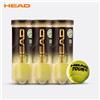 HEAD Tour XT Tennis Gioco da tennis professionale Palla da allenamento Masters Ball Contenitore in gomma Pratica singola Oro 3 pezzi 1 lattina