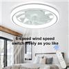 ludengchaoshi Ventilatore da Soffitto LED Integrato per Camera da Letto, 48cm per Soggiorno e Sala da Pranzo, Telecomando con 6 Velocità di Ventilazione