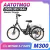 AATOTMGO Triciclo Elettrico AATOTMGO M300, 3 ruote da 24 pollici, motore da 250W, batteria al litio 36V18AH, triciclo elettrico per shopping in città, viaggi all'aperto, cambio 7S, ebike da 24", per anziani