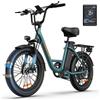 URLIFE E20 E-Bike, Batteria 48V 13Ah, 25KM/H, Autonomia 80KM, Pneumatici Fat 20X3'', Bici Elettrica per Adulti per Pendolarismo Urbano e Tutti i Terreni