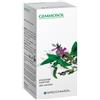 SPECCHIASOL Gemmosol 36 Ribes Nero 100ml