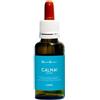 NATUR Srl CALMA NATUR MIX 30ML