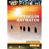 Penguin baywatch (DVD)