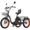 ZAZAWORK Triciclo Elettrico Pieghevole per Adulti 250W 48V 20Ah | Cambio a 7 Velocità, Ruote 20 x 3,0, Pedalata Assistita, Batteria 48V 20Ah, Colore Nero