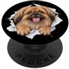 4PekingeseLovers Divertente pechinese che sbircia carino amante dei cani mamma papà PopSockets PopGrip Adesivo