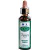SANTIVERI Sa AINSWORTHS RECOV PLUS 20ML