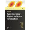 Tom Lyche Numerical Linear Algebra and Matrix Factorizations (Tascabile)