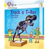 Helen Dineen Track a T-Rex (Tascabile)