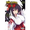 Ichiei Ishibumi Haydn Trowell Miyam High School DxD, Vol. 13 (light (Tascabile)