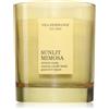 Vila Hermanos Sunlit Mimosa 200 g
