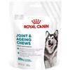 ROYAL CANIN Joint Ageing Adult Dog Supplements 240g integratore per il corretto funzionamento delle articolazioni per cani adulti