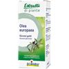 BOIRON Srl olea europaea boiron macerato glicerico 60 ml