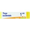 Boiron Thuya Occidentalis Mk Globuli 1g