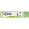Boiron Echinacea Angustifolia 5ch Granuli