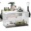Generico Acquario | Grande Kit Acquario da Scrivania - Contenitore Panoramico Con Area Riposo Per Tartarughe Per Piante Acquatiche Guppy Gamberi Decor Per Scrivania