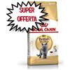 ROYAL CANIN GATTO ADULTO BRITISH SHORTHAIR 2 KG