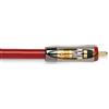 QED Reference Audio 40 - Cavo da 0,6 m
