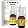 DR.GIORGINI SER-VIS Srl KARMAVIS PROPOLI SPRAY 15ML