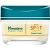 Himalaya Herbals Dark Spot Turmeric Cream 50 ml