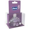 CHICCO CH TETT STEPUP NEW 6M+ VEL - CHICCO - 924741174
