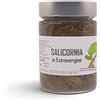 Leccorniesottogliulivi Salicornia del Gargano in extravergine 280g