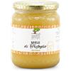 Leccorniesottogliulivi Miele di Trifoglio 500gr