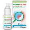 MYLAN Frobengolmed Spray Mucosa Orale 15ml 8,75 Mg/dose