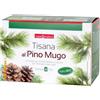 Naturwaren Dr. Theiss - Naturplus Tisana Pino Mugo, 20 filtri