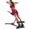 Sunny Health & Fitness Pieghevole Roman Chair, Back Hyperextension Bench | Supporto Imbottito, Migliora la Flessibilità, Regolabile Altezza, Built in Dip Station, Allena Schiena, Addominali e Core