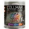Drasanvi Collmar Magnesio 300g