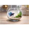 mille idee Boccia per Pesci in Vetro 25 cm - Acquario Sferico Trasparente per Pesci Rossi, Betta e Piante Acquatiche