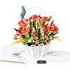 CUT POPUP.COM CUTPOPUP White Daffodi - Narcisi Bianchi, Biglietti d'auguri per Donne, Biglietto Pop Up per la Festa della Mamma, Biglietto d'auguri 3D per Moglie Figlia Sua Sorella (Narciso Bianco) US8-29IT1515