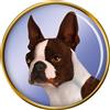 Boston Cane Terrier Distintivo di Lapel Pin