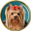 Yorkshire Terrier Cane Distintivo di Lapel Pin