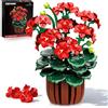 CUBIMANA Set costruzione di fiori di geranio botanico - Piante bonsai artificiali per decorazioni da casa e ufficio, 548 pezzi vasi di fiori geranio adulti e donne dai 12 anni in su regalo per Natale