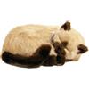 Perfect Petzzz Gatto Siamese il cucciolo che respira the Breathing Puppy