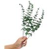 Tinsow 5 pezzi di vero tocco foglia artificiale eucalipto gambo finto eucalipto eucalipto bouquet di nozze centrotavola decorazione per la casa (verde)