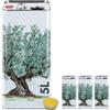 acquaverde | 3 Lattine per Olio di Oliva, Latta Bianca con Albero, in Metallo, Contenitore Alimentare da 5 Litri con Doppio Tappo e Maniglia