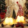 ZQEJEFD Gnomo Natale con LED, 2 Pezzi Decorazione Natalizia Gnomo, Decorazione di Babbo Natale con LED, Gnomi Natalizi Luminosi, Elfo Babbo Natale Peluche, Decorazioni Natalizie di Gnomi