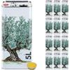 acquaverde | 12 Lattine per Olio di Oliva, Latta Bianca con Albero, in Metallo, Contenitore Alimentare da 5 Litri con Doppio Tappo e Maniglia