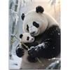 Fokenzary - Kit per diamond art per adulti, facile per principianti, 5D - Panda - Artigianato manuale 1 pezzo, arte murale per soggiorno e camera da letto (30 * 40 cm)