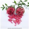 SAVINI VIVAI L'ARTE DI FARE NATURA SAVINI VIVAI Pianta di Limone Caviale Rosso Albero di Agrumi Finger Lime Limone ad Alberello in Vaso 24 cm alta 80-100 cm 3 Anno di Innesto Made Italy
