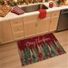 CAROMIO Zerbino di Benvenuto per Natale Invernale - Tappetino Lavabile Antiscivolo per Ingresso Interno ed Esterno - 40x60cm