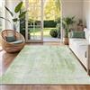 WUTONG Tappeto Salotto 60x90cm,Verde Moderno Tappeto Camera da Letto | Morbido Lavabile,Astratto Pelo Corto,Antiscivolo per Soggiorno Ufficio Cucina